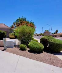 Mami’s Landscaping - Photo 5 - Car repair in , Mesa