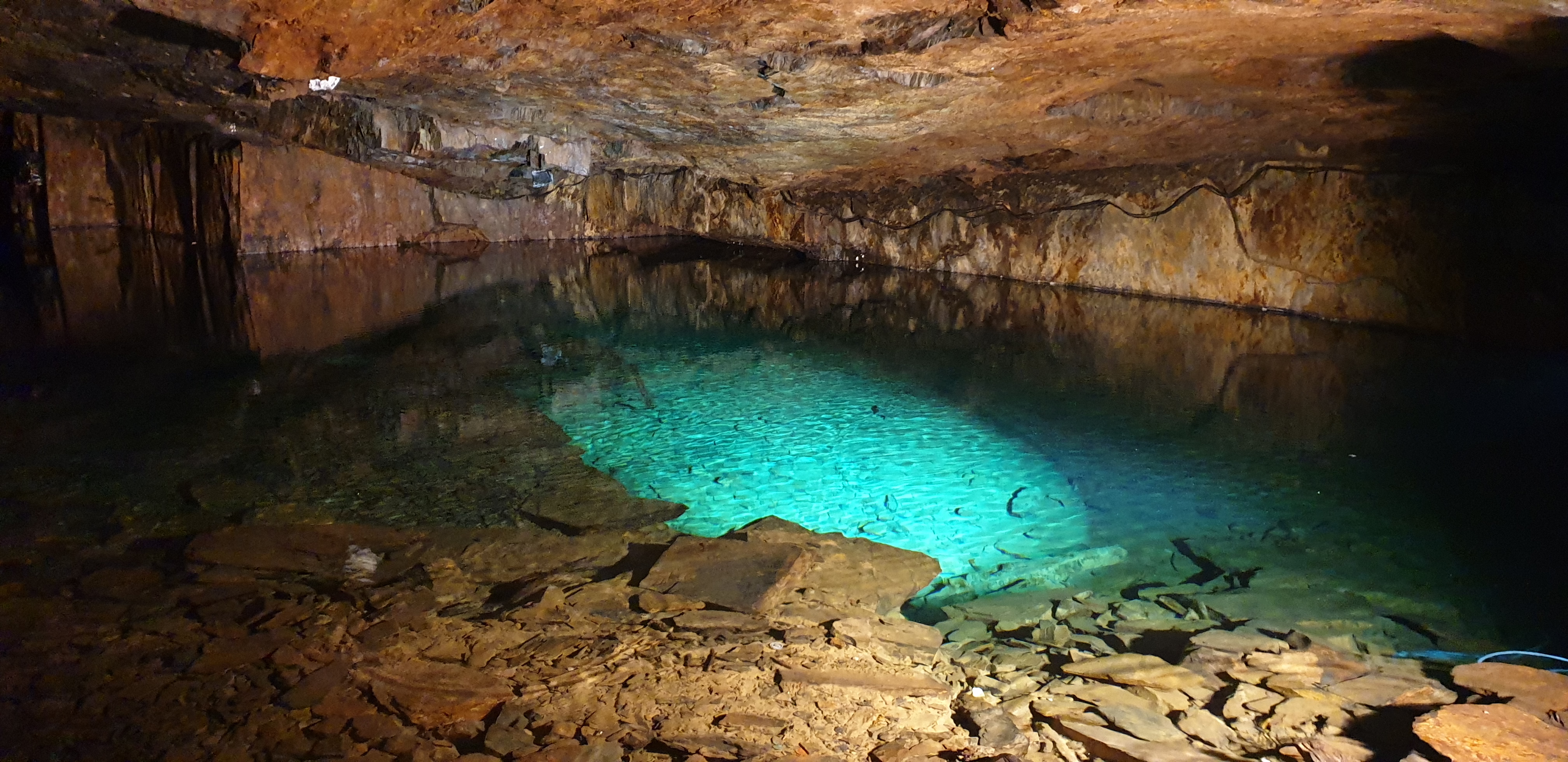 Photo n° 1 de l'avis de anthony.O fait le 25/10/2019 à 06:58