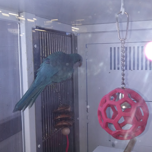 Pet Supply Store «Petco Animal Supplies», reviews and photos, 45205 Worth Ave, California, MD 20619, USA