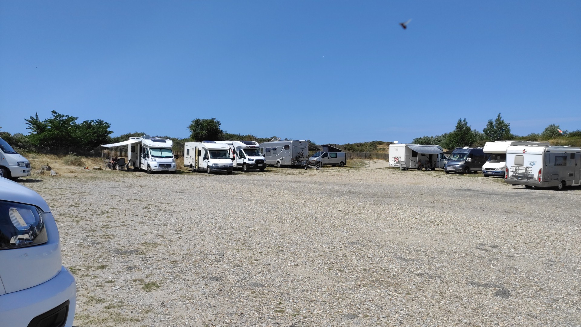 Photo n° 1 de l'avis de C. fait le 18/07/2023 à 11:21