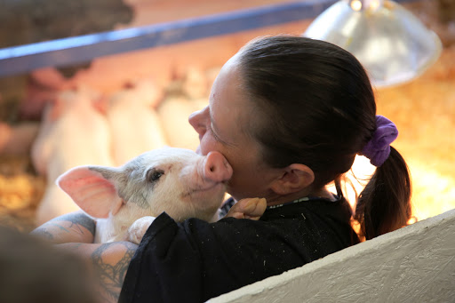 Fairground «The Evergreen State Fairgrounds», reviews and photos, 14405 179th Ave SE, Monroe, WA 98272, USA