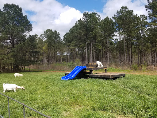 Non-Profit Organization «Dauset Trails Nature Center», reviews and photos, 360 Mt Vernon Church Rd, Jackson, GA 30233, USA