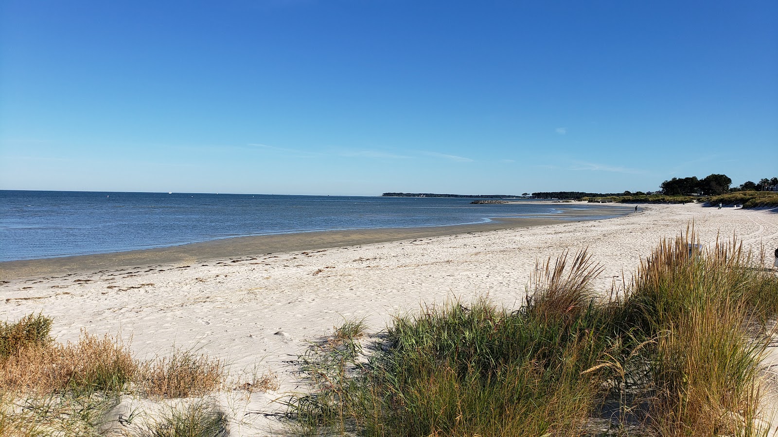 Foto di Cape charles beach con una superficie del sabbia bianca