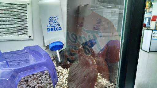 Pet Supply Store «Petco Animal Supplies», reviews and photos, G3559 Miller Rd, Flint, MI 48507, USA