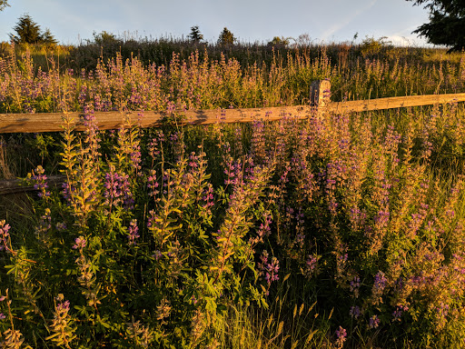 Park «Powell Butte Nature Park», reviews and photos, 16160 SE Powell Blvd, Portland, OR 97236, USA