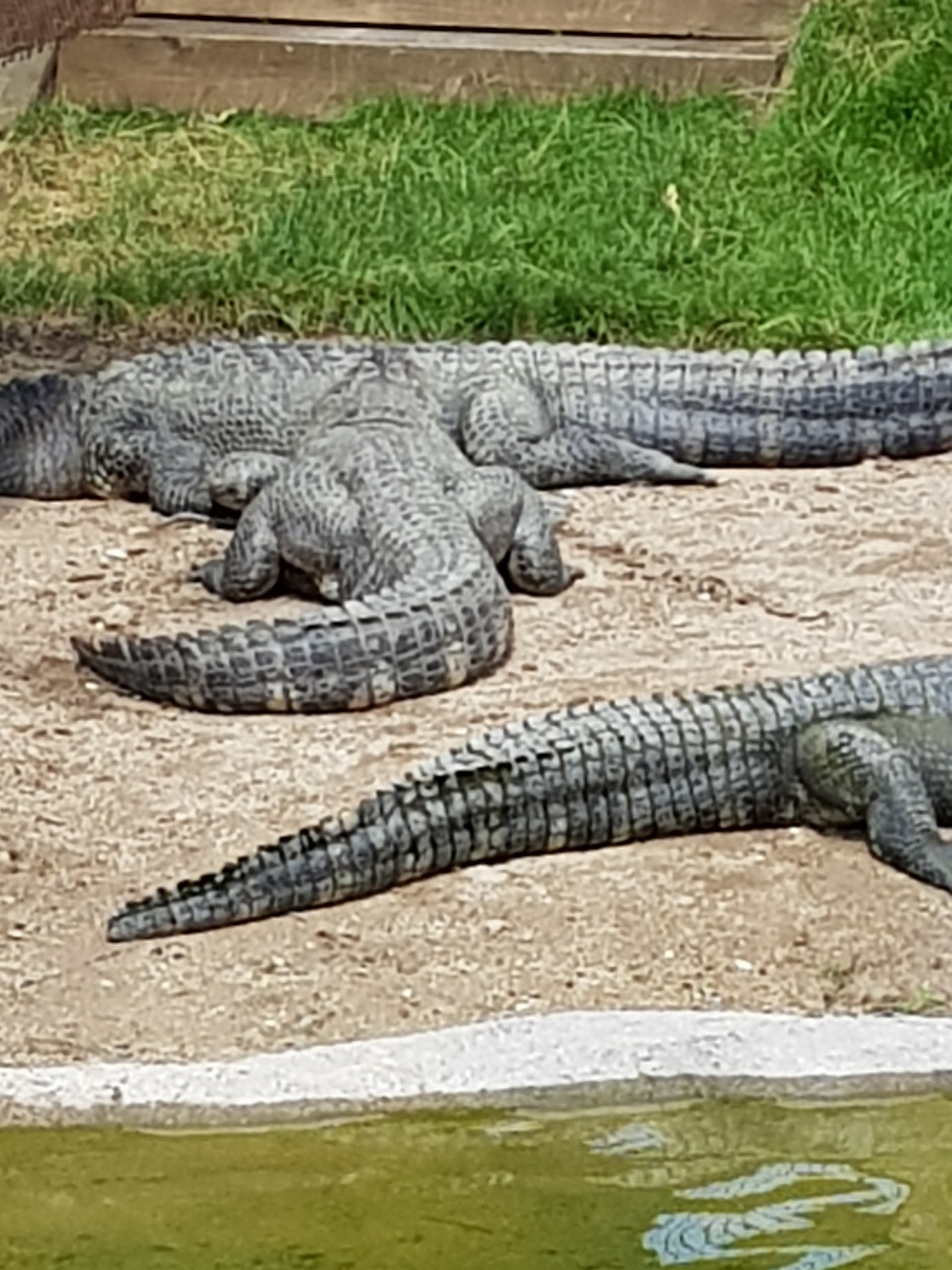 Photo n° 2 de l'avis de Michel.a fait le 08/09/2017 à 11:36