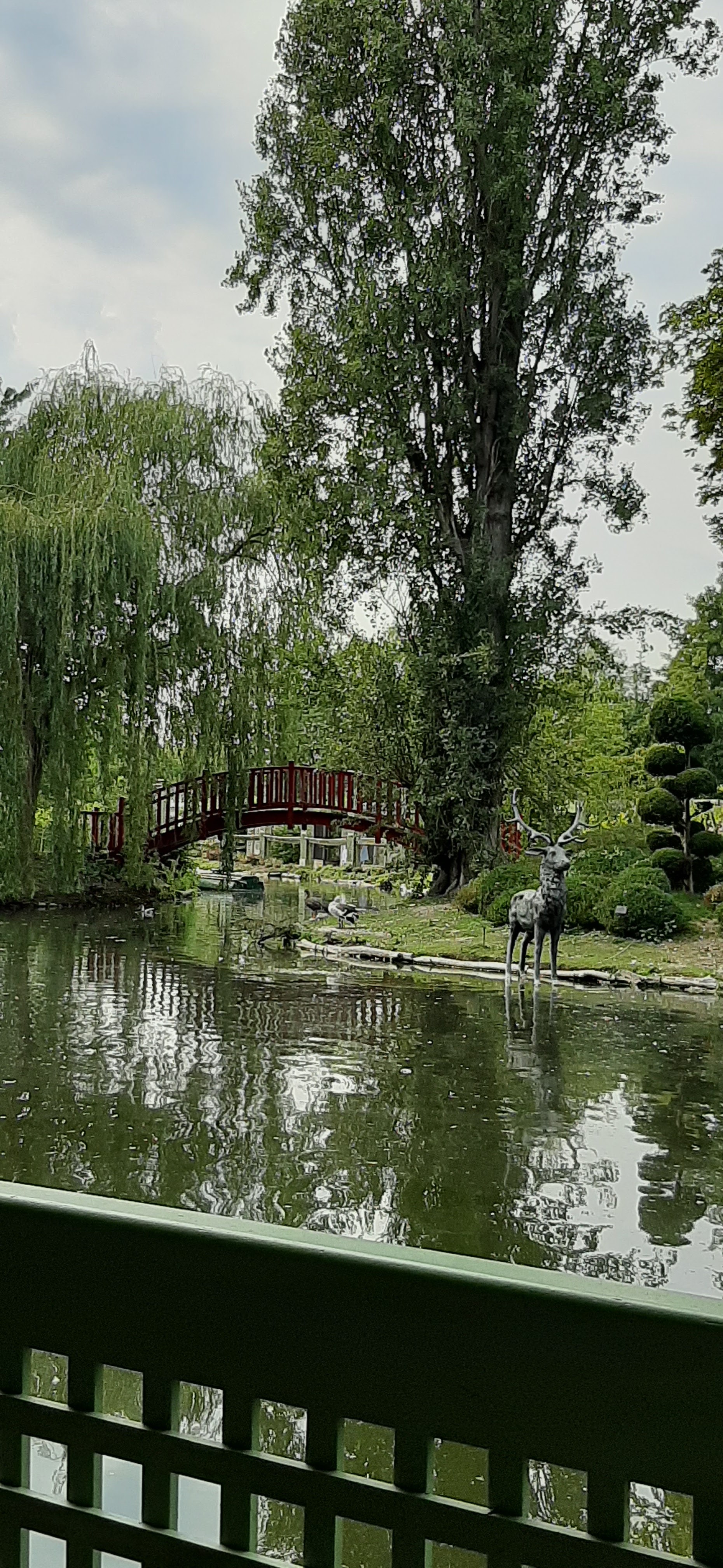 Photo n° 1 de l'avis de Sellig.e fait le 30/08/2019 à 09:47