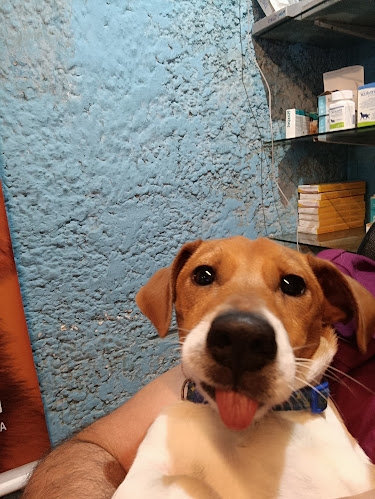 Veterinaria "El Rodeo" - Canelones