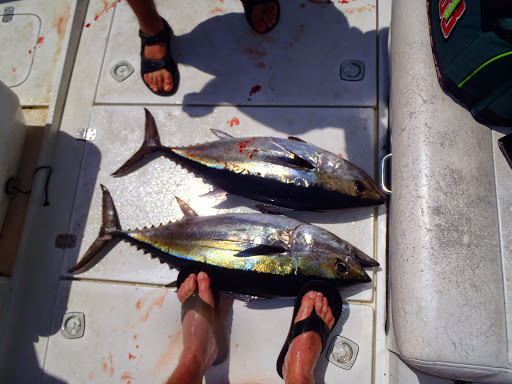 Fishing Charter «Bent Charters Offshore Fishing», reviews and photos, 503 150th Ave, Madeira Beach, FL 33708, USA