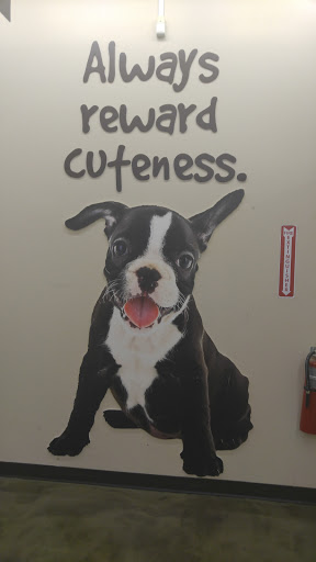 Pet Supply Store «Pet Supplies Plus», reviews and photos, 1407 Lincoln Hwy, Levittown, PA 19056, USA