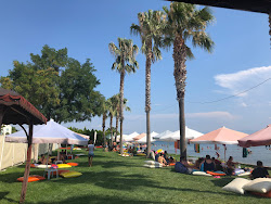Foto van Palmera beach en de nederzetting