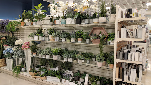 Shopping Mall «Twin City Plaza», reviews and photos, 14 McGrath Hwy, Somerville, MA 02143, USA