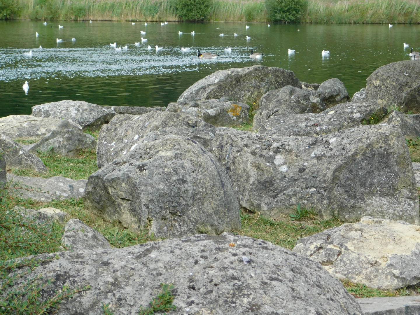 Photo n° 5 de l'avis de Isabelle.. fait le 09/09/2019 à 09:31