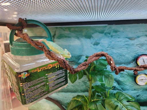 Pet Supply Store «Petco Animal Supplies», reviews and photos, 403 N 8th St, West Dundee, IL 60118, USA