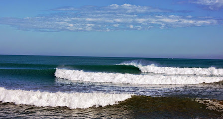 Surf Las Arenas Valencia (Playa Malvarrosa)