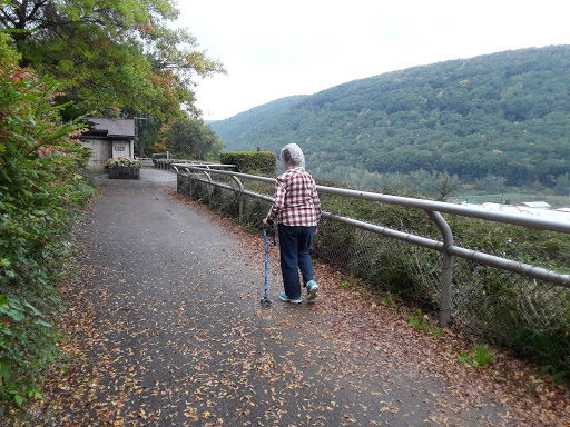Fishing Area «Kinzua Dam», reviews and photos