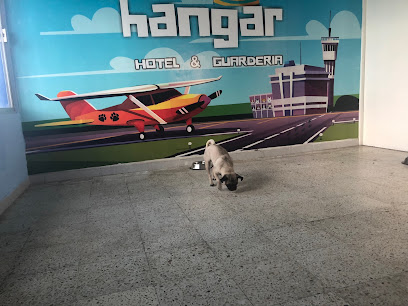 Pet Hangar