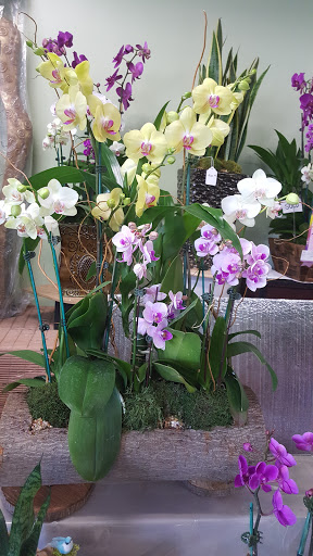 Florist «Garden Grove Florist», reviews and photos, 9710 Garden Grove Blvd # C, Garden Grove, CA 92844, USA