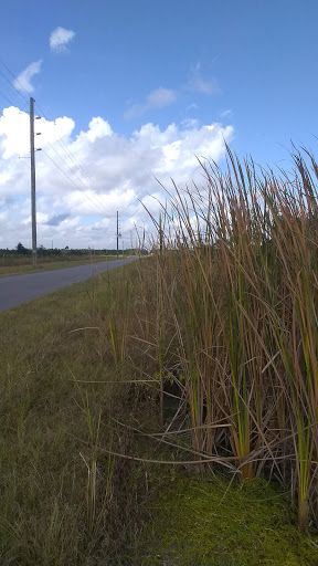 Nature Preserve «Scottsmoor Flatwoods Sanctuary East», reviews and photos, 6000 Magoon Ave, Mims, FL 32754, USA