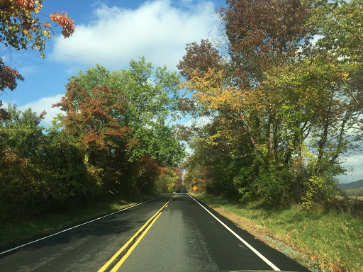 Trade Zone Auto Sales, 482 NJ-31, Hampton, NJ 08827, USA, 