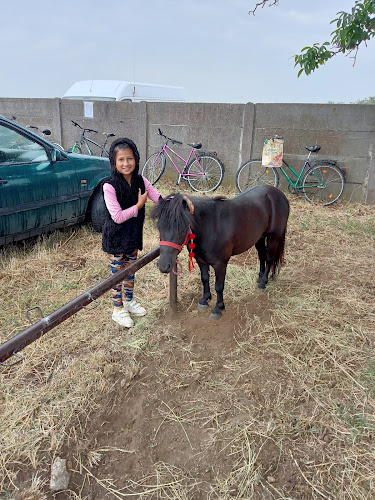 GEOGRID AG - Elektriker