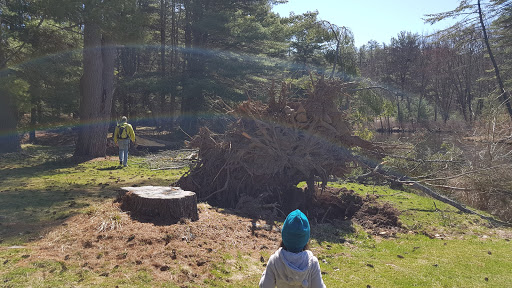 Museum «Dorflinger Glass Museum», reviews and photos, 37 Suydam Dr, White Mills, PA 18473, USA