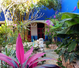 Hotel MedioMundo photo