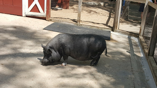 Park «Cleveland Park», reviews and photos, Cleveland Park Drive & East Washington, Greenville, SC 29601, USA