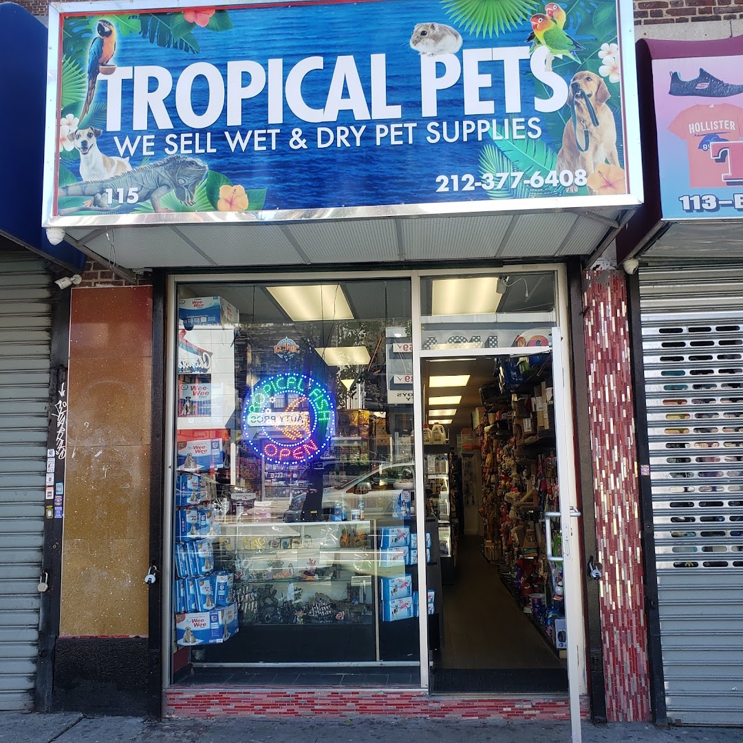 Tropical pets