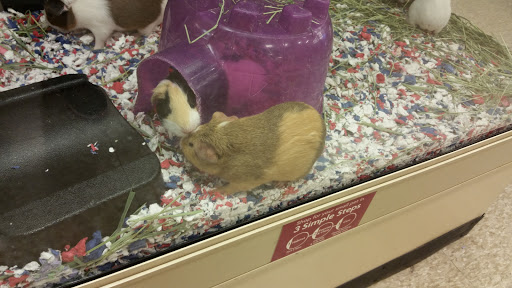 Pet Supply Store «PetSmart», reviews and photos, 310 NJ-36, West Long Branch, NJ 07764, USA