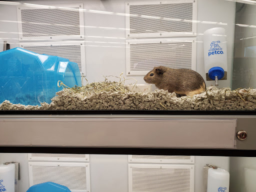 Pet Supply Store «Petco Animal Supplies», reviews and photos, 13741 S Tamiami Trail #2, Fort Myers, FL 33912, USA