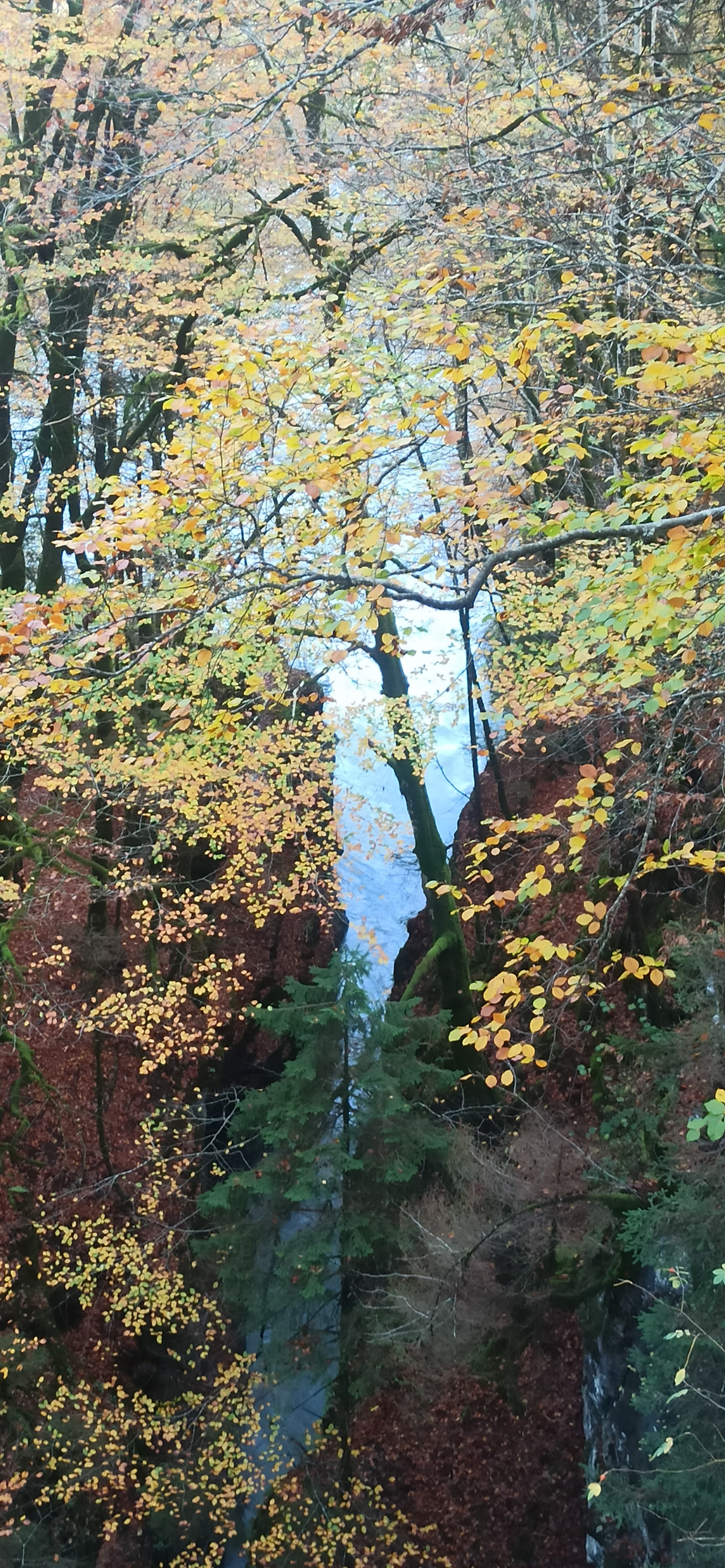 Photo n° 2 de l'avis de Anaïs.o fait le 28/10/2022 à 11:47