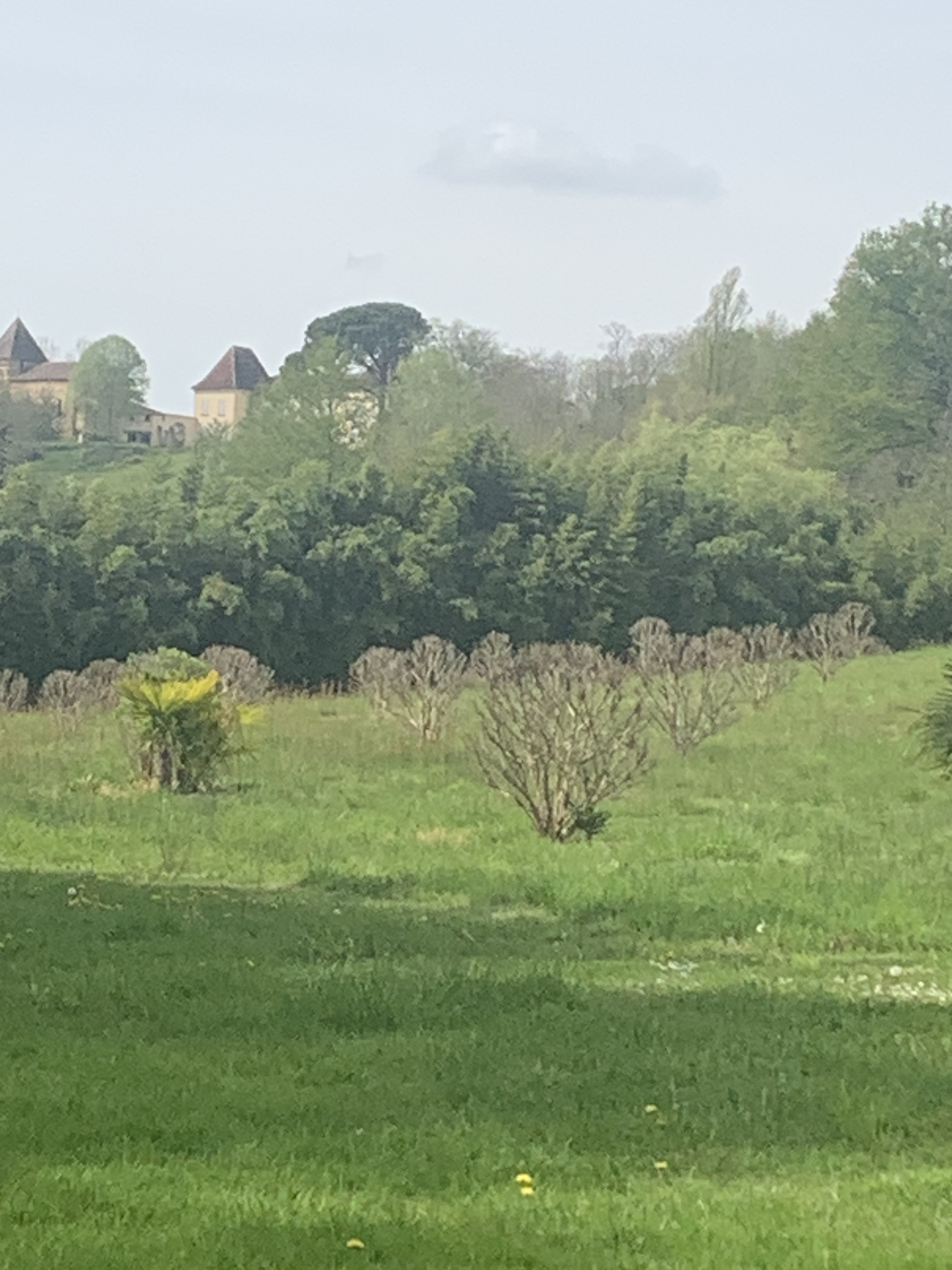 Photo n° 1 de l'avis de Marc.e fait le 11/04/2023 à 12:52
