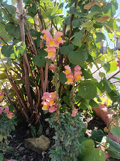 Park «High Meadows Park», reviews and photos, 4216 Ashby Field Dr, Colorado Springs, CO 80922, USA