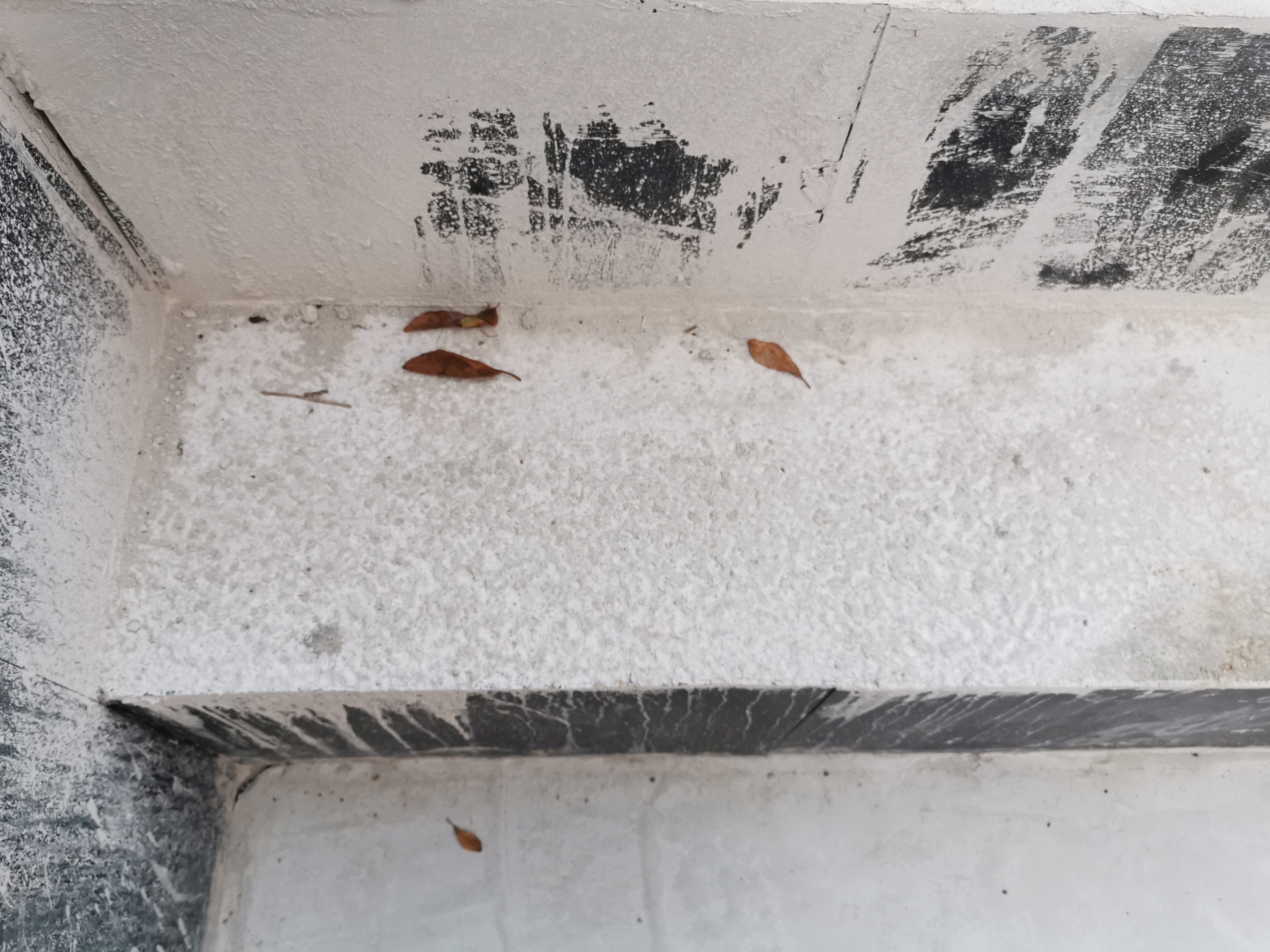 Photo n° 9 de l'avis de L..a fait le 10/01/2021 à 13:55
