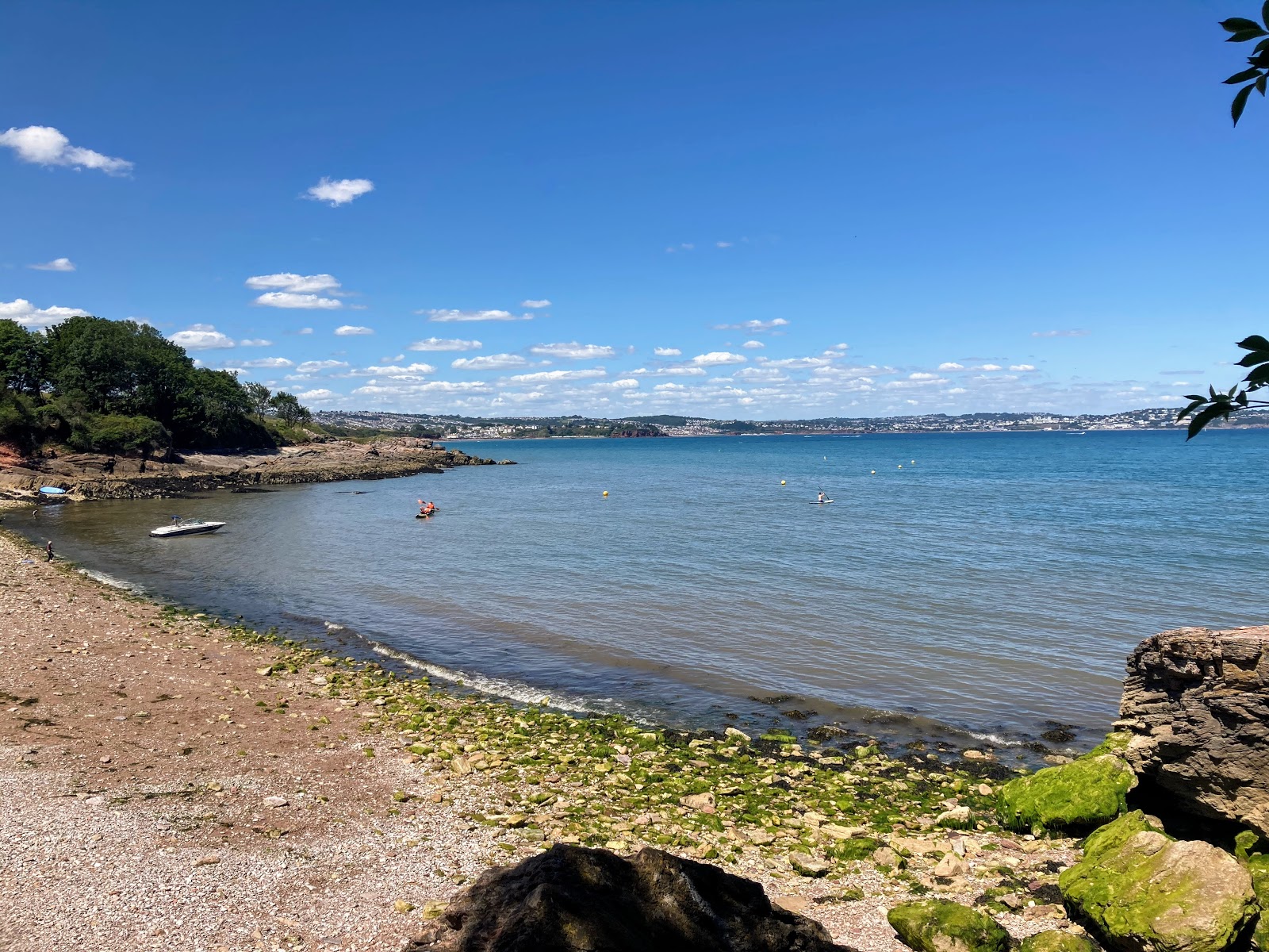 Photo de Elberry Cove avec un niveau de propreté de très propre