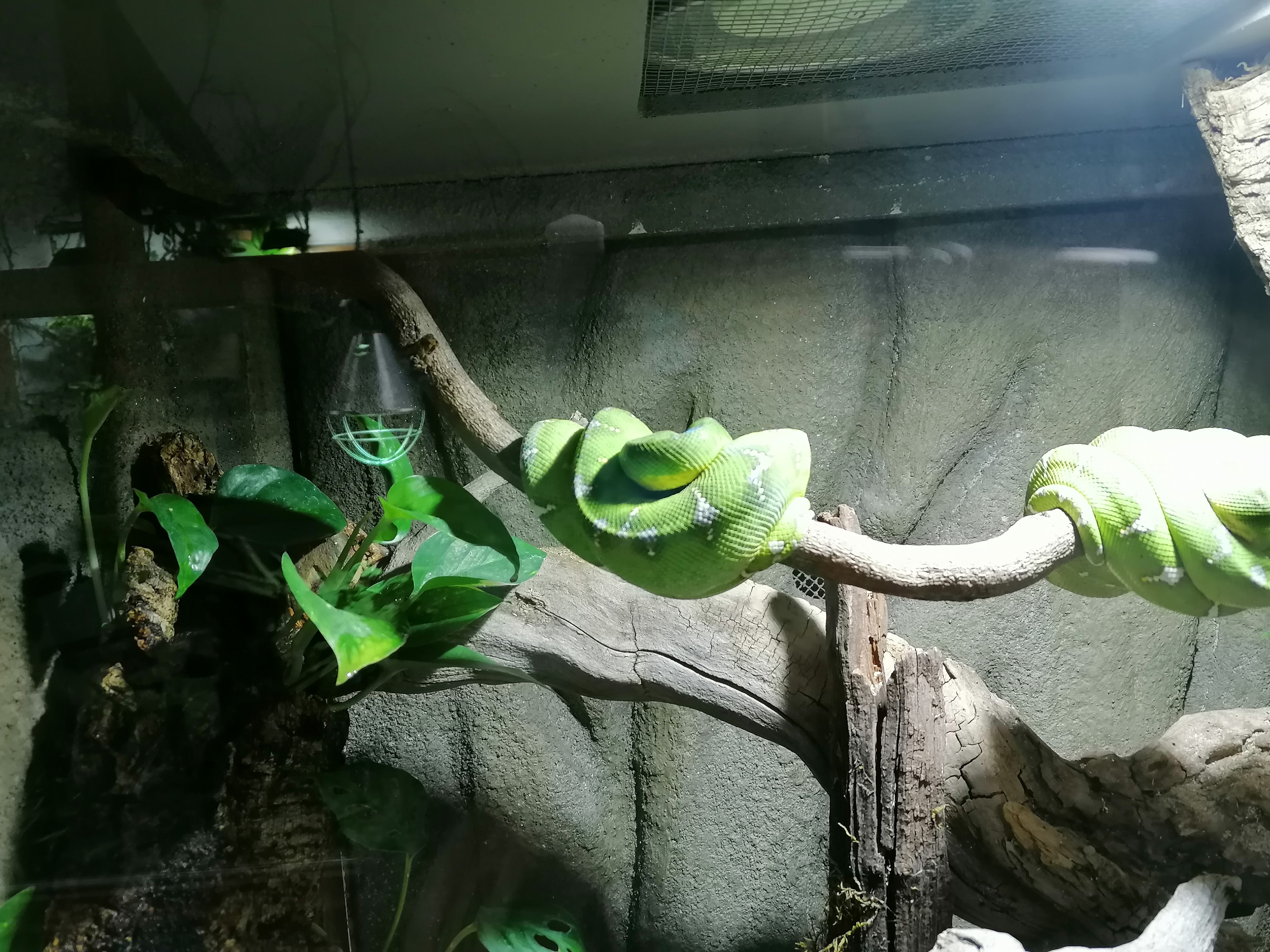 Photo n° 3 de l'avis de Eva.O fait le 24/04/2022 à 13:20