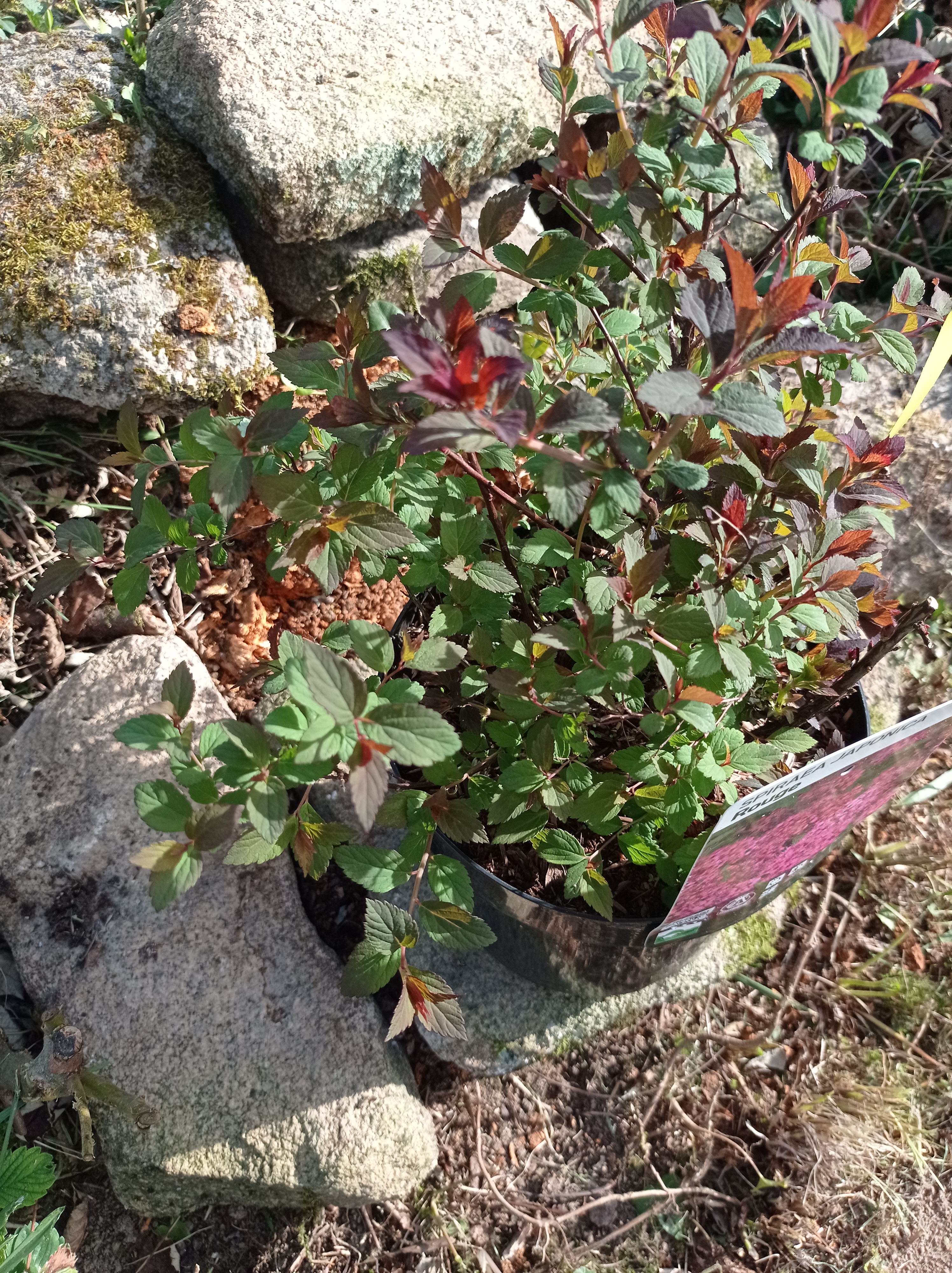 Photo n° 2 de l'avis de Nathalie.o fait le 20/04/2022 à 19:21