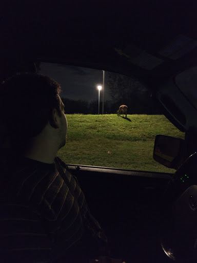 Golf Course «RiverWinds Golf & Tennis Club», reviews and photos, 270 Eagle Point Rd, West Deptford, NJ 08086, USA