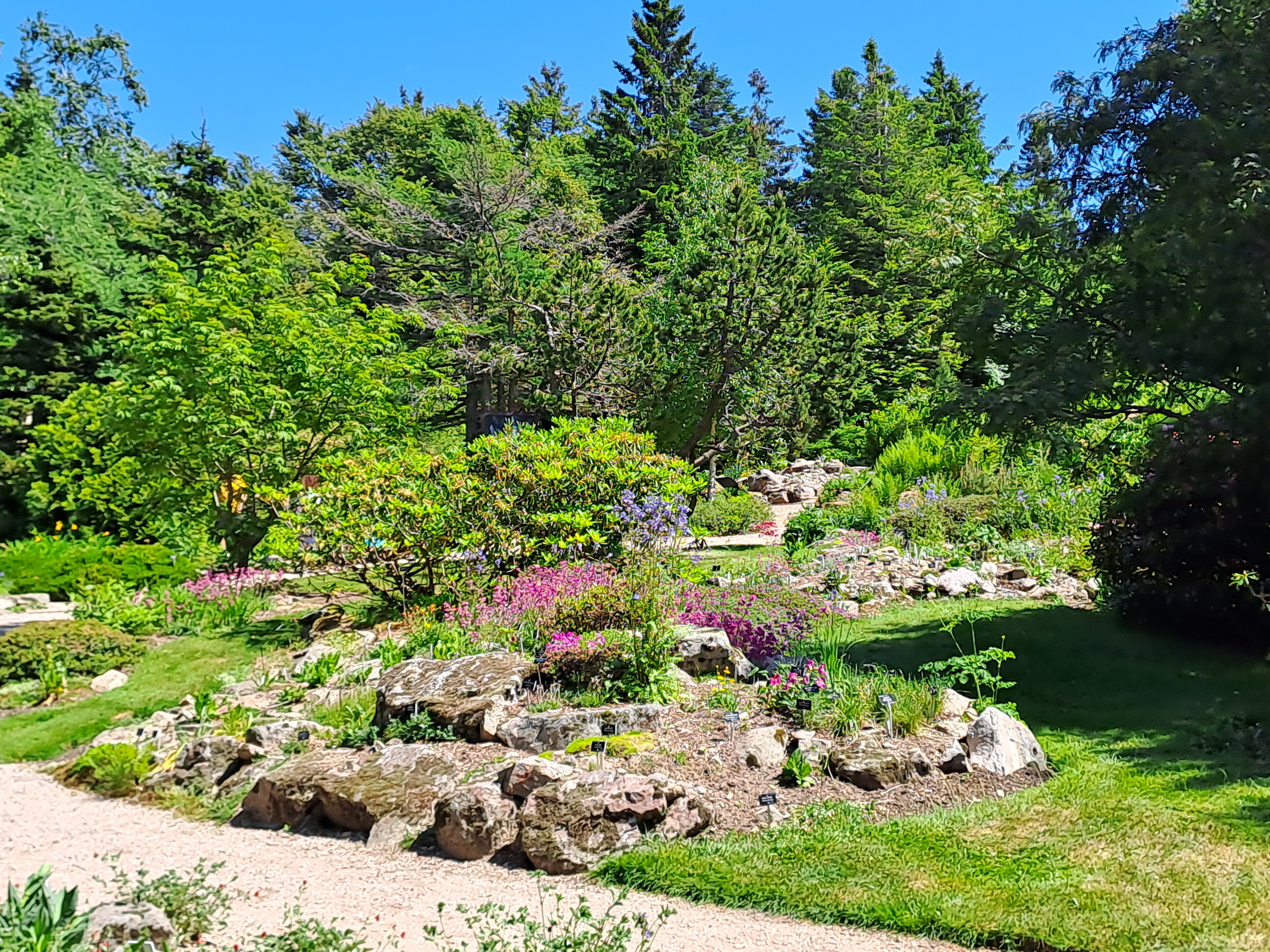 Photo n° 9 de l'avis de RAVIER.A fait le 15/06/2023 à 04:40