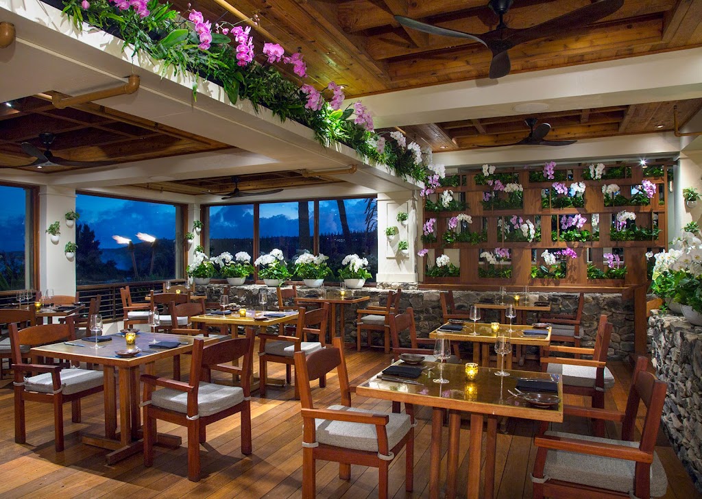 The Banyan Tree 96761