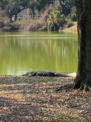 Stable «Lawton Stables», reviews and photos, 190 Greenwood Dr, Hilton Head Island, SC 29928, USA