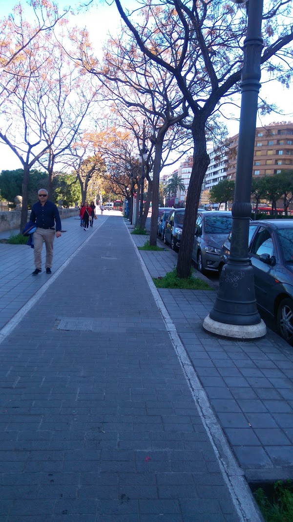 Imagen de Valencia Montessori School (3 de 6)