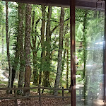 Photo n°7 de l'avis de Andrea. fait le 28/06/2021 à 16:07 sur le  Baita La Faggeta à Soriano nel Cimino