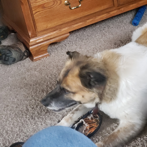 Pet Supply Store «Wag», reviews and photos, 2450 Harney St, Omaha, NE 68131, USA