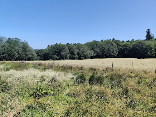 Sources de l'Yonne à Glux-en-Glenne