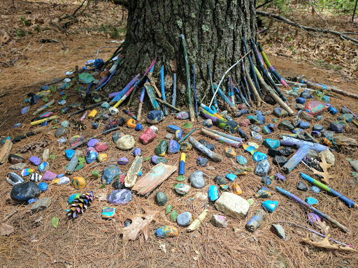 State Park «Lowell-Dracut-Tyngsborough State Forest», reviews and photos, Trotting Park Rd, Dracut, MA 01826, USA