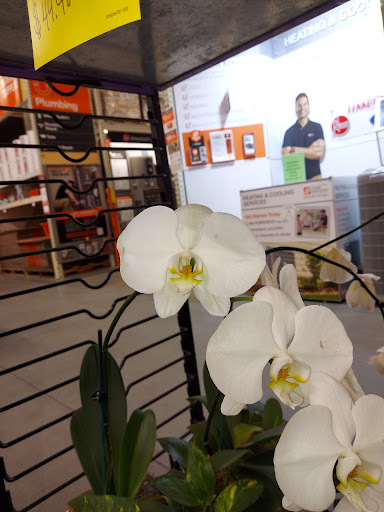 Home Improvement Store «The Home Depot», reviews and photos, 2912 S Elm-Eugene St, Greensboro, NC 27406, USA