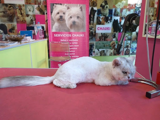 Clínica Veterinaria San Patricio en Lorca
