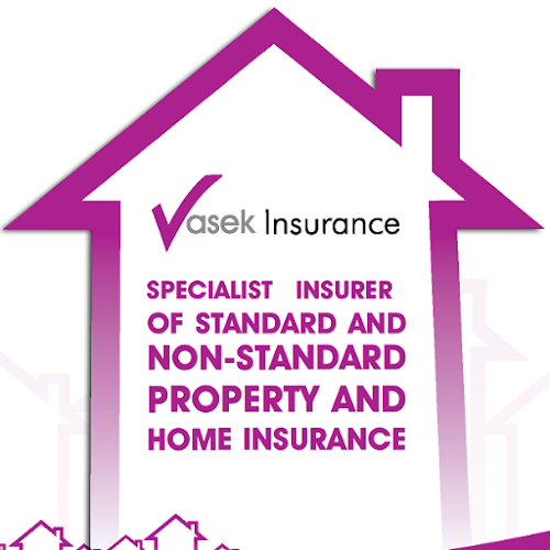 Vasek Insurance Ltd Open Times